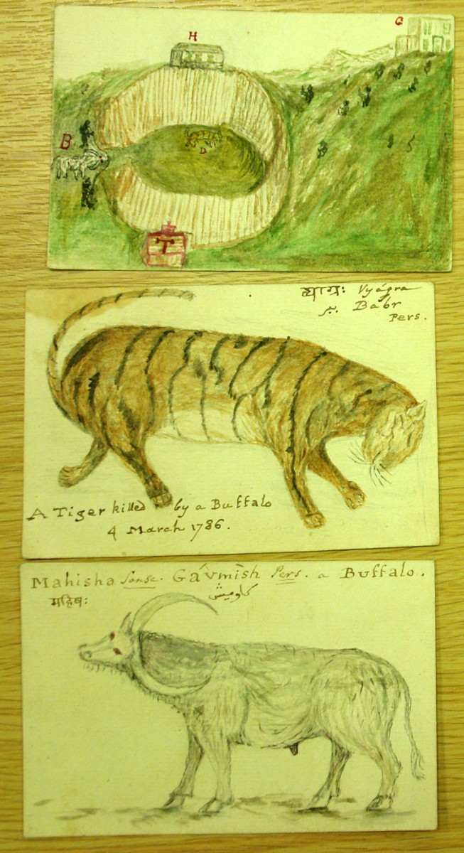 Jones Collection